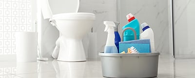 Detergjentë larës tualeti/Antikalkare