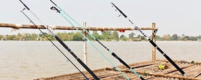 Fishing Rods and reels