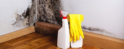 Mold and Moisture Treatments