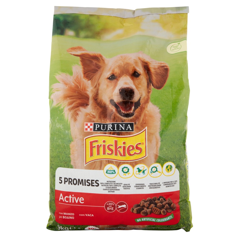 Food for active dogs, Friskies, with beef, 9 kg Megatek