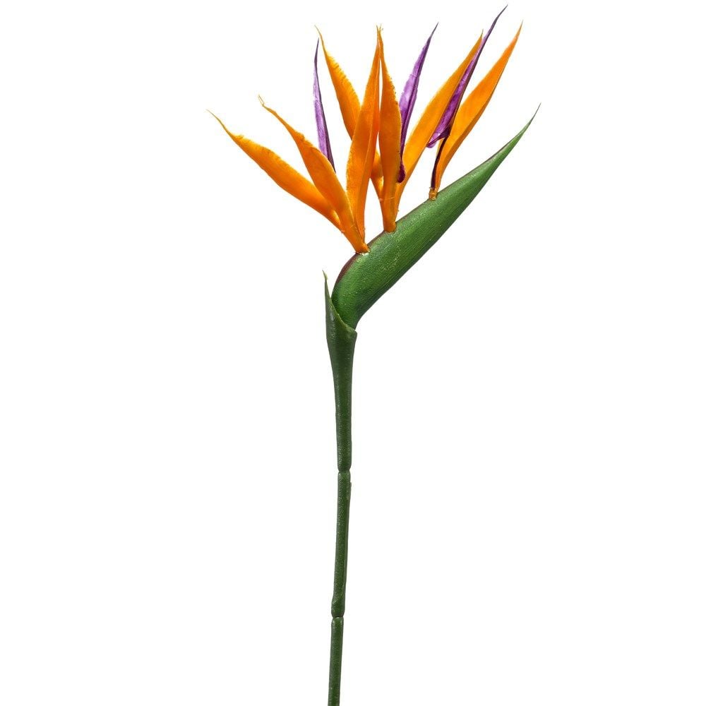 Strelitzia 65 cm 65cm Lule Artificiale Pvc Portokalli