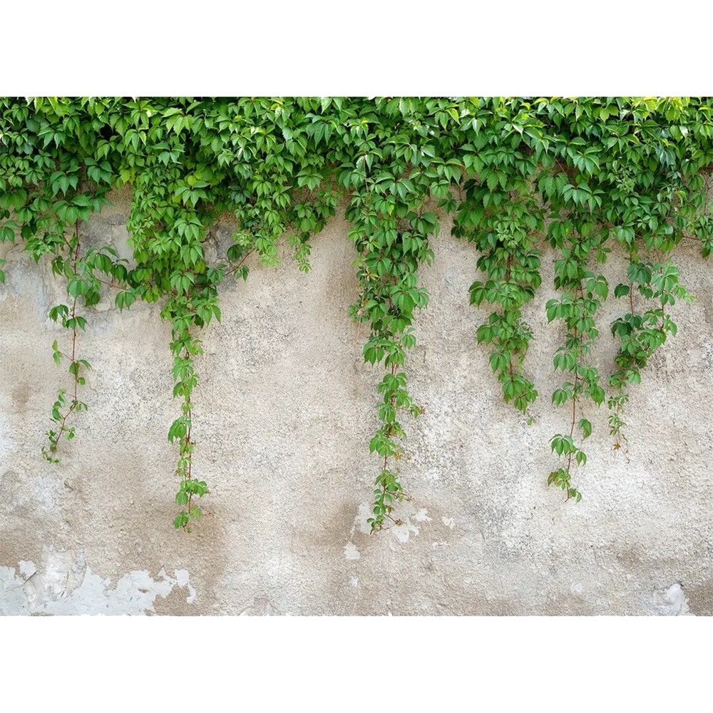 As Creation DesignWalls Climbing Leaves DD11871-2 Leter Muri Fotografike 3.5 X 55 M E Bardhe Jeshile