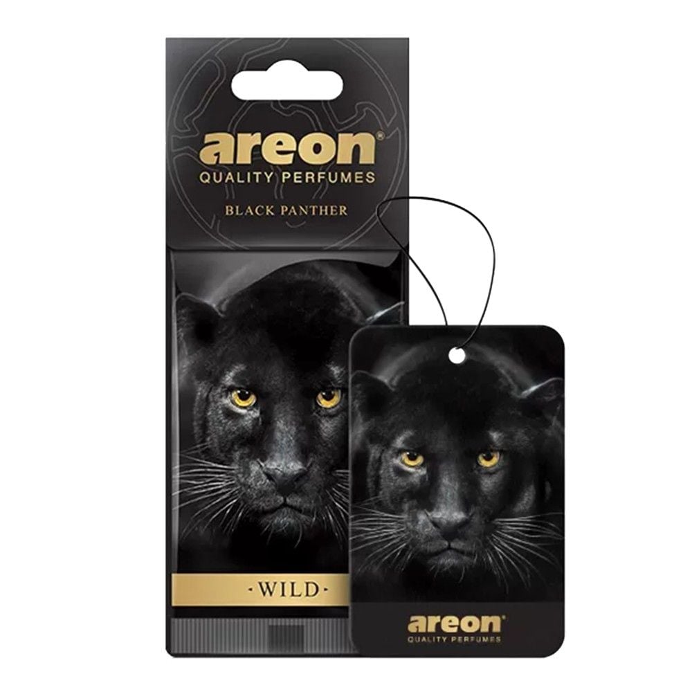 Areon Dry Wild