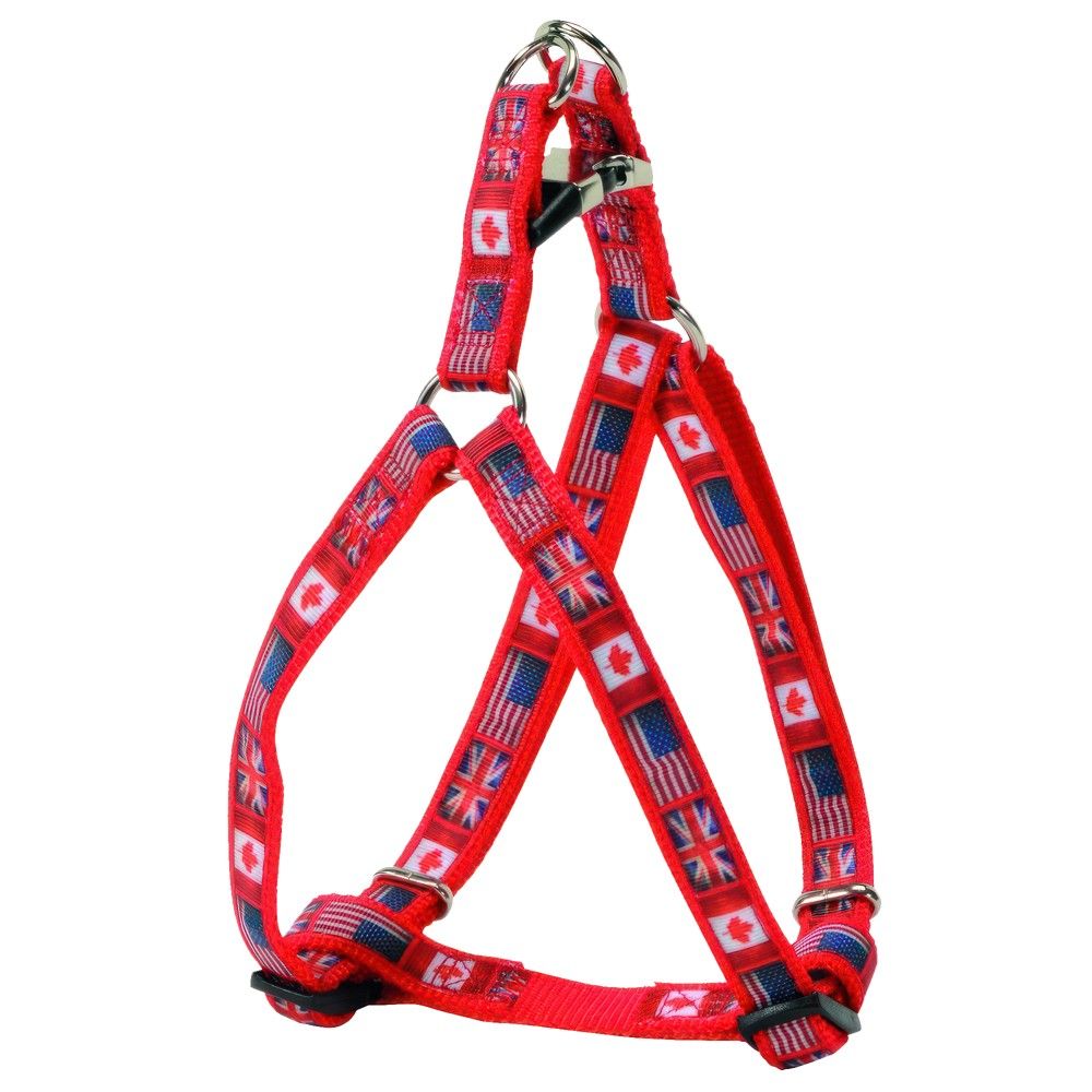 Camon Trupore per qen, Flags 20mm