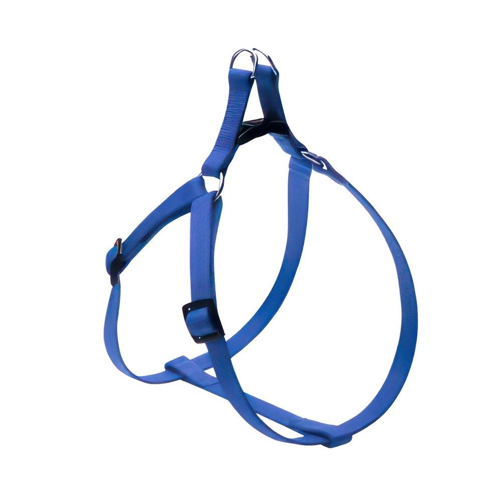 Camon Trupore për qen 12mm 40cm 12 X Ngjyra Blu