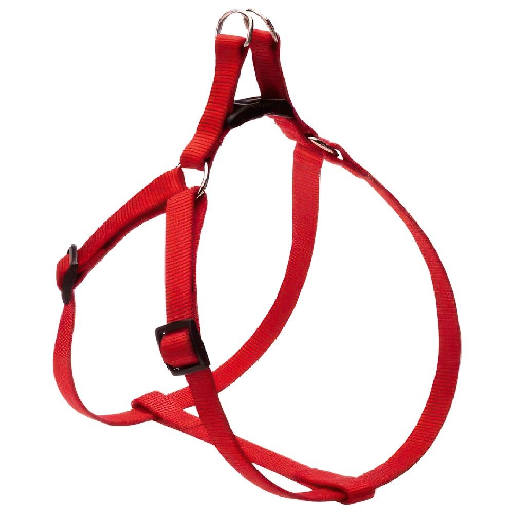Qen Camon Mm X-120 120cm 25mm Trupore Per Ngjyra E Kuqe