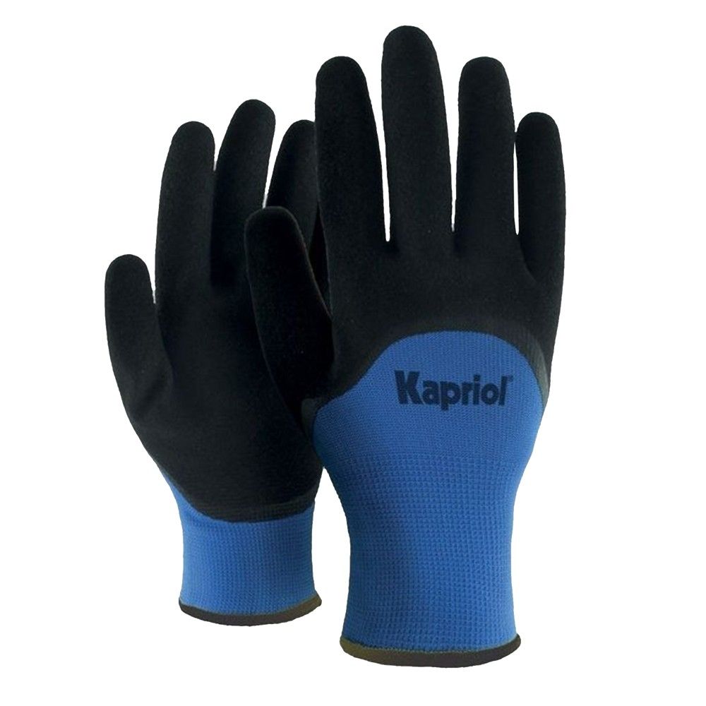 Kapriol Winter Doreza Pune Dimerore 10