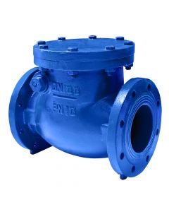 Non-return valve DN 100 PN 10 with flange and metal closures