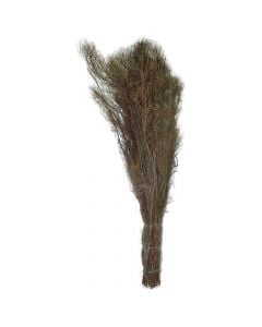 Garden broom , natural wicker, 50 cm