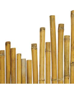 Shkop për kopësht, bambu natyrale , Ø2/2.2x180 cm