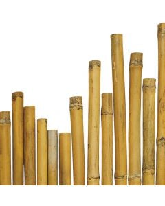 Shkop për kopësht, bambu natyrale , Ø2/2.2x210 cm