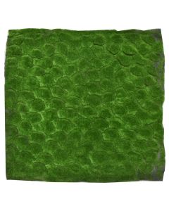 Decorative moss, spoonge, 100x100 cm