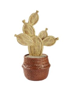 Decorative object, cactus, plastic, natural, 13.6x19xH32 cm
