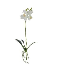 Artificial flower, ORCHIDEA, plastic, white, H45 cm