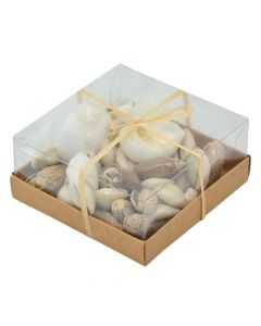 Decorative shell, brown, 100 gr