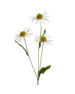 Lule artificiale, DAISY, pvc, e bardhë, 50 cm