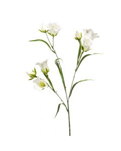 Lule artificiale, CAMPANULA, pvc, e bardhë, 65 cm