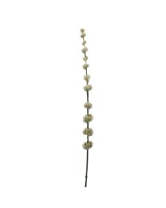 Artificial flower, POM POM, pvc, cream, 70 cm
