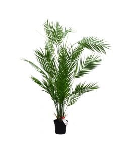 Pemë artificiale, Palmë, plastike, jeshile, 136 cm