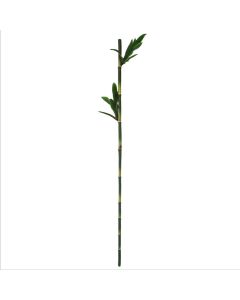 Artificial flower, pvc, green, H78 cm