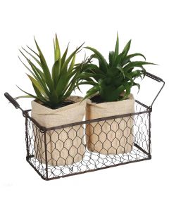 Artificial flower, Aloe Vera, with basket, plastic/metal, green, 23x13xH21 cm