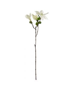 Artificial flowers, magnolia, plastic, white, 67 cm