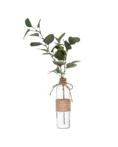 Lule artificiale, Eucalyptus, në vazo qelqi, mëndafshi dhe qelq, jeshile, shishe: 6xH21.5 cm; lule: 6.5xH45 cm