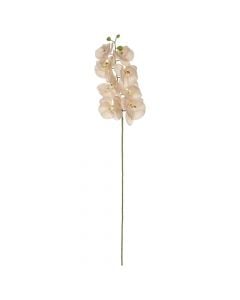 Artificial flower, Orchid, polyester/pe/metal, light pink, 19x10.5xH105 cm