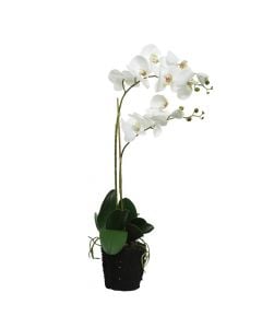 Artificial flower, orchid, in pot, plastic, white, 16x10xH62 cm