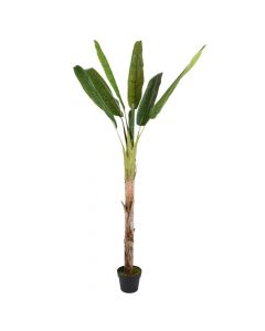 Artificial tree, banana, in pot, plastic, green, Ø60 xH180 cm
