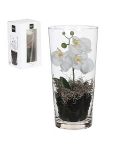 Artificial flower, in glass pot, Phalaenopsis, pvc/glass, white, Ø15 xH30 cm