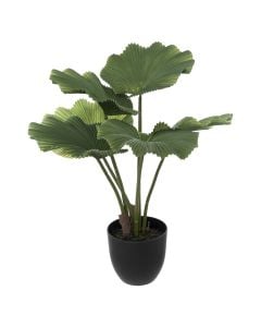Artificial flower, Licuala, in vase, polyethylene/metal/cement, green/black, 32xH65cm
