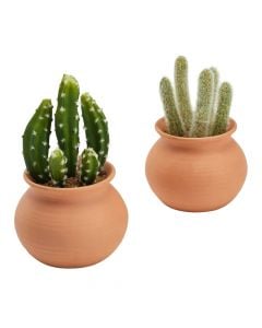 Lule artificiale, Cactus, në vazo qeramike, jeshile/terrakotë, Ø17xH16.5 cm