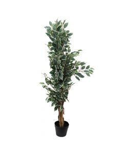Artificial tree, Ficus, in pot, plastic, green, 130 cm