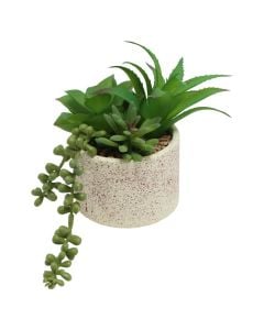Artificial flower, in vase, plastic, green, 9x9xH18 cm