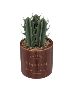 Artificial flower, Bota in ceramic vase, plastic, brown/green, Ø9.8xH10 cm