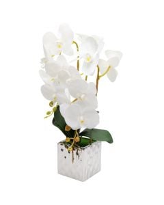 Artificial flower, in pot, plastic, white, 10x38 cm