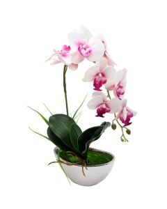 Lule artificiale, në vazo, plastike, e bardhë/çiklamin, 21x42 cm