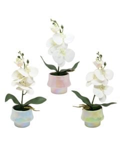 Artificial flower, in pot, plastic, white, 11x36 cm
