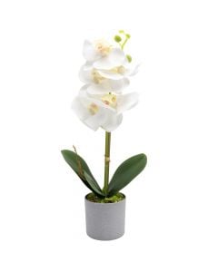 Artificial flower, in pot, plastic, white, 10x38 cm