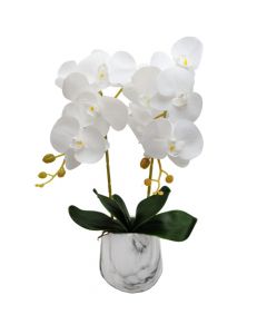 Artificial flower, in pot, plastic, white, 14x38 cm