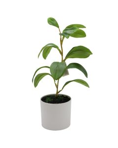 Artificial flower, in vase, plastic/PP, green, 28 cm