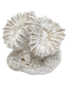Decorative object, resin, white, 11x8.5xH9 cm