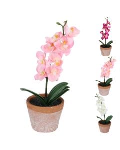 Artificial flower, Orchide, in pot, terracotta/plastic, assorted, Ø2.7xH9.2 cm