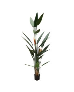 Artificial flower,  Strelitzia Reginae , in pot, plastic, green/ black, 180 cm