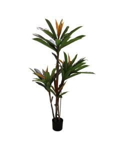 Artificial tree,  Dracaena fragrans, in pot, plastic, green/ black, 160 cm
