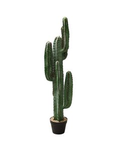 Artificial flower,  Pentagon Cereus, in pot, plastic, green/ black, 115 cm