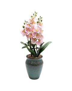 Artificial flower, Orchid, plastic, white/ pink, Dia.12xH60 cm