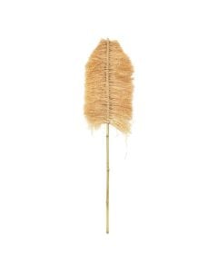 Artificial flower, dried, natural, 32x51xH100 cm