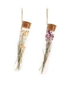 Vazo mbajtëse lulesh të thara, qelqi, transaprente, 3x3xH15